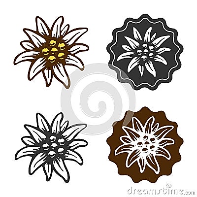 Edelweiss flower symbol alpinism alps germany logo Vector Illustration