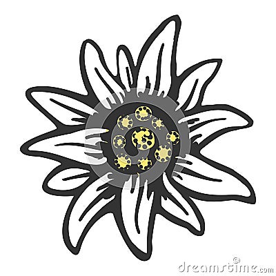 Edelweiss flower symbol alpinism alps germany logo Vector Illustration