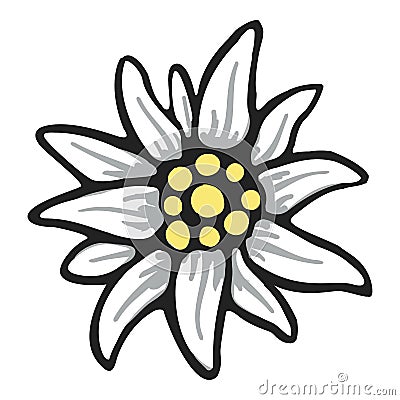 Edelweiss flower symbol alpinism alps germany logo Vector Illustration