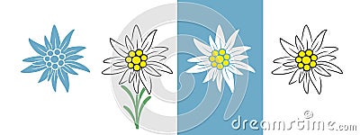 Edelweiss logo. Isolated edelweiss on white background Vector Illustration