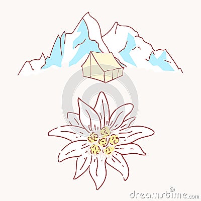 Edelweiss tent hiking mountains flower symbol alpinism alps germany logo Vector Illustration