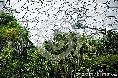 Eden project Stock Photo