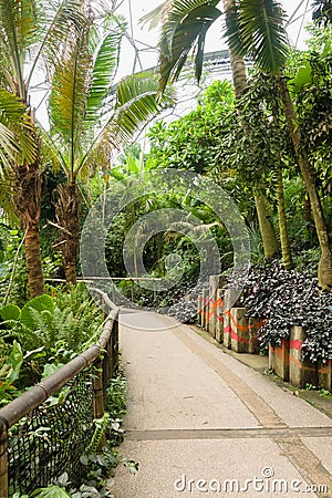 Eden Project Cornwall Stock Photo