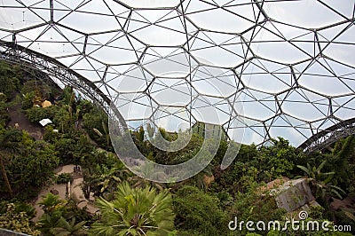 Eden project inside the biome Stock Photo