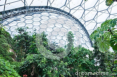 Eden Project - Inside the Tropical Biome Stock Photo