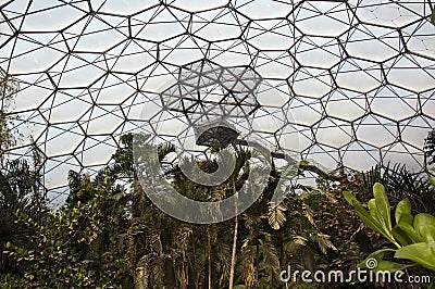 Eden project - Rainforest Lookout platform Stock Photo