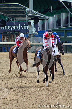 LOUISVILLE, KY - MAY 1, 2019: Smile Awhile, Asticou Trail, and Amazing Audrey after race 8 at Churchill Downs Editorial Stock Photo