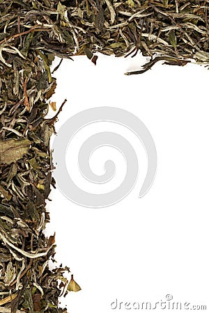Edge border texture background of dried, raw white tea leaves frame filling flat lay from above with copy-space on white Stock Photo
