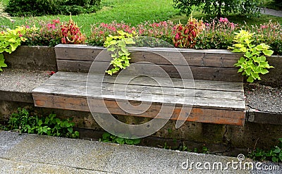 On the edge of the elevated terrace overlooking the park is a concrete long flowerpot with a concrete bench. is part of the city c Stock Photo