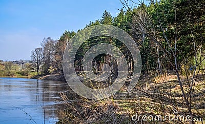 The edge of the forest on the banks of the river Kotorosl, Yaroslavl region Stock Photo