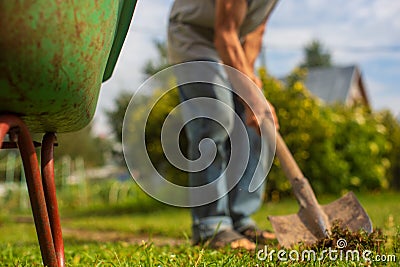 The edge of the wheelbarrow in the garden. In the background, a farmer is digging the ground with a shovel. Stock Photo