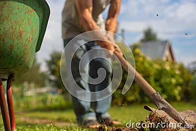 The edge of the wheelbarrow in the garden. In the background, a farmer is digging the ground with a shovel Stock Photo