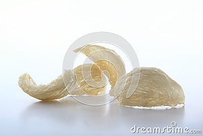 Edible Bird Nest Stock Photo