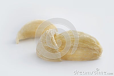 Edible Bird nest Stock Photo