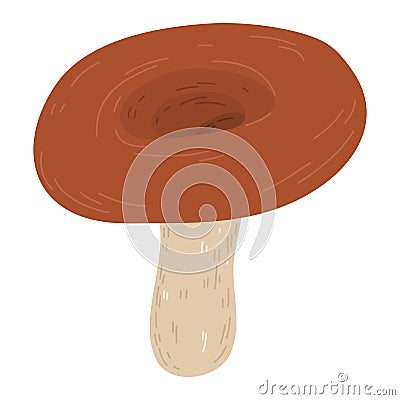 Edible brown boletus mushroom growing in autumn season Vector Illustration