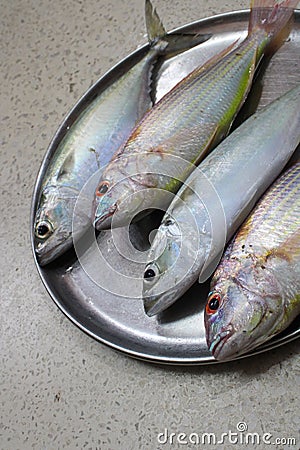 Edible fishes placed on a plate Stock Photo