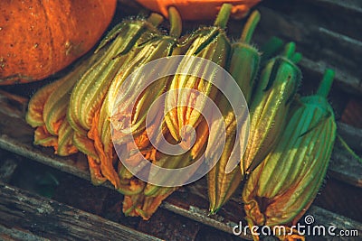 Edible flowers for cooking. Pumpkin flowers for food Stock Photo