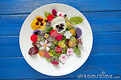 Edible flowers salad in a plate Stock Photo