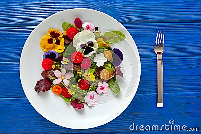 Edible flowers salad in a plate Stock Photo