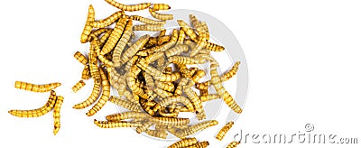 Edible fried insects suitable as food snack Stock Photo