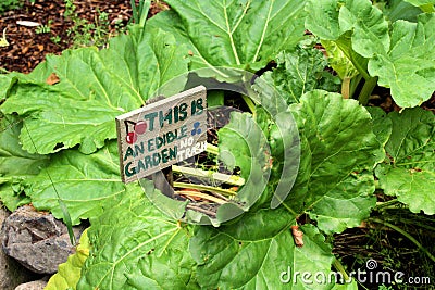 Edible garden Stock Photo