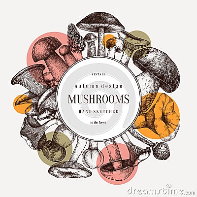 Edible mushrooms vector wreath. Forest plants background. Perfect for recipe, menu, label, icon, packaging. Vintage mushrooms Vector Illustration