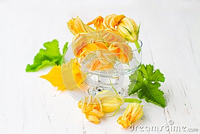 Edible zucchini flowers on white background Stock Photo
