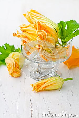 Edible zucchini flowers on white background Stock Photo