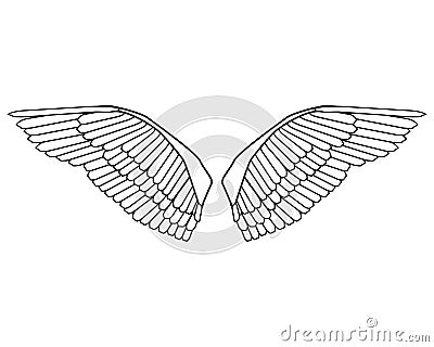 Editable bird wings vector Vector Illustration