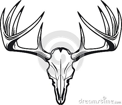 Deer skull of whitetail buck Vector Illustration