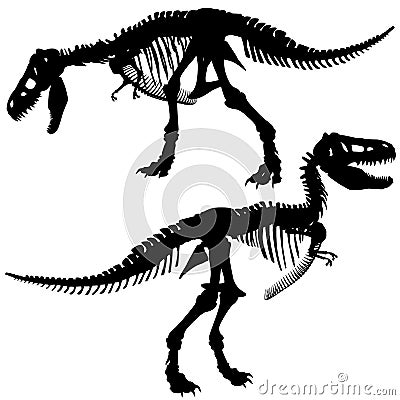 T rex skeleton Vector Illustration