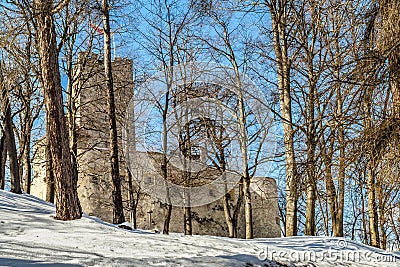 EDITORIAL Burg Bruneck Editorial Stock Photo