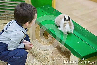 Editorial. Kyiv, Ukraine. 03.24.2018. Little boy looks at a whit Editorial Stock Photo