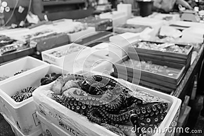 Tokyo, Japan - Circa May 2016 - The Tsukiji Fish Market in Tokyo Editorial Stock Photo