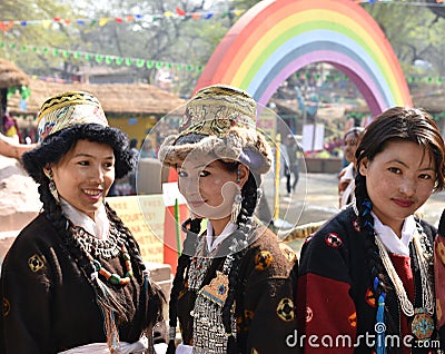 Editorial: Surajkund, Haryana, India:Feb 06th, 2016:Spirit of Carnival in 30th International crafts Carnival. Editorial Stock Photo