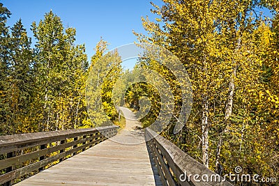 Edmonto city park wooden footbridge Stock Photo