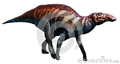 Edmontosaurus Stock Photo