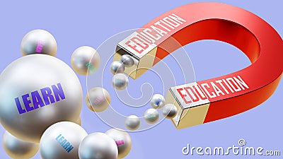 Education which attracts Learn. A magnet metaphor in which education is attracting learn Stock Photo