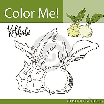 Education coloring page with vegetable. Hand drawn vector illustration of kohlrabi Vector Illustration