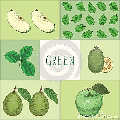 Education Game. Green Color. Fruits and Leaves Stock Photo