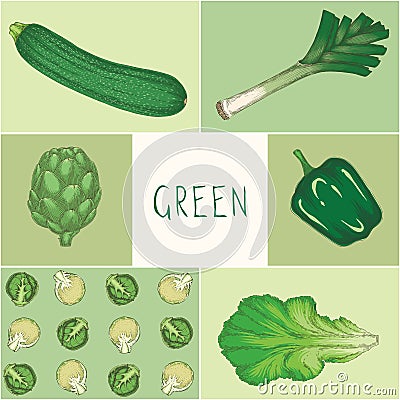 Education Game. Green Color. Vegetables Stock Photo