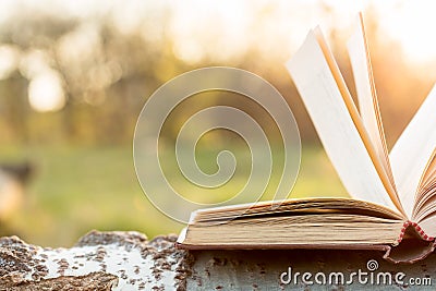 Education and wisdom concept - open book under sunlight Stock Photo