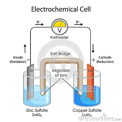 Educational Diagram of Chart showing Physics concept of Electrochemical Cell Vector Illustration