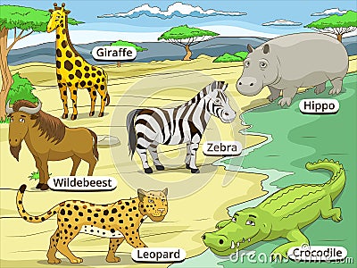 Educational game African savannah animals Vector Illustration