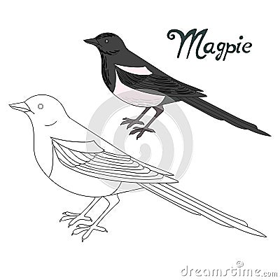 Educational game coloring book magpie bird Vector Illustration