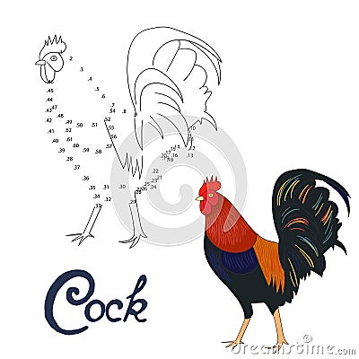 Educational game connect dots draw rooster bird Vector Illustration