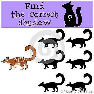 Educational game: Find the correct shadow. Little cute numbat walks Vector Illustration