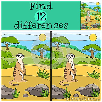 Educational game: Find differences. Little cute meerkat smiles. Vector Illustration