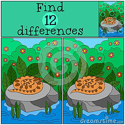 Educational game: Find differences. Little viper on the stone Vector Illustration