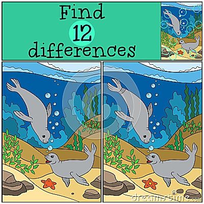 Educational game: Find differences. Two little cute seals. Vector Illustration